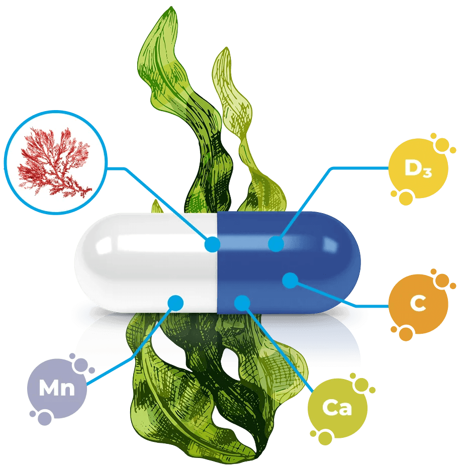 Podpora kostí CalciumControl®